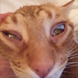 Meet your Posher, Scott